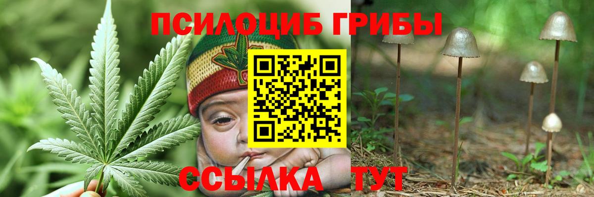 Псилоцибиновые грибы Psilocybe  Вход с VPN  Реутов 